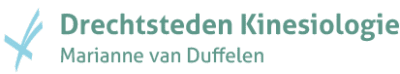 Drechtsteden Kinesiologie