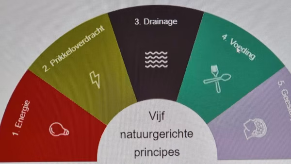 Natuurgeneeskundig consult volgens de 5 natuurgerichte principes