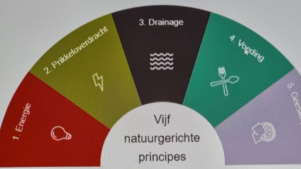 Natuurgeneeskundig consult volgens de 5 natuurgerichte principes
