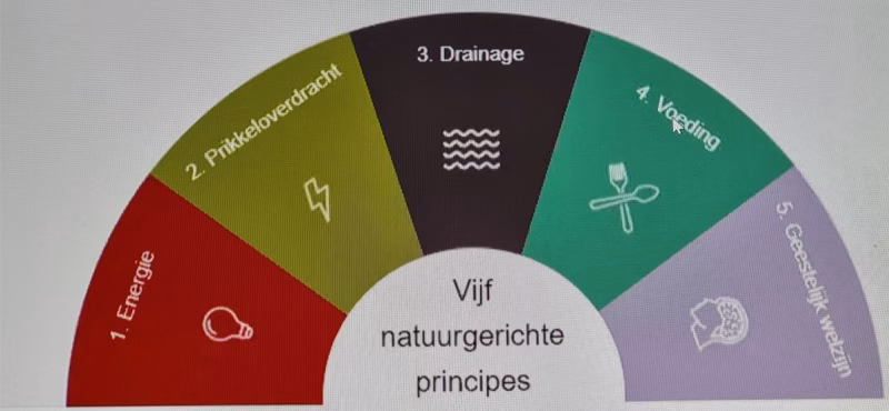 Natuurgeneeskundig consult volgens de 5 natuurgerichte principes