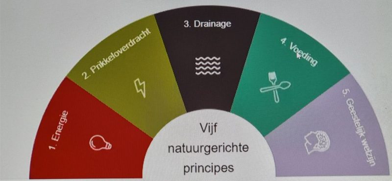 Natuurgeneeskundig consult volgens de 5 natuurgerichte principes